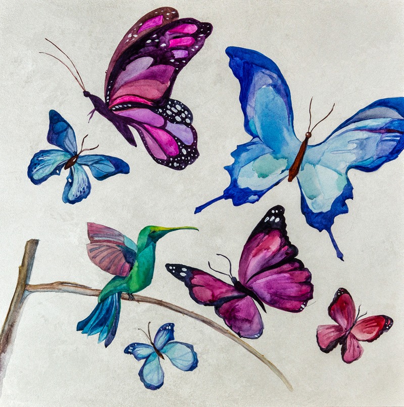 Фрагмент «Бабочки»